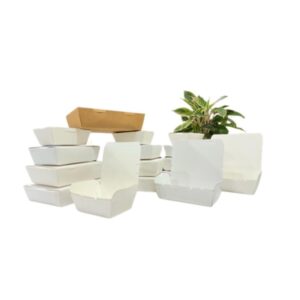 Eco-Power Lunch Boxes